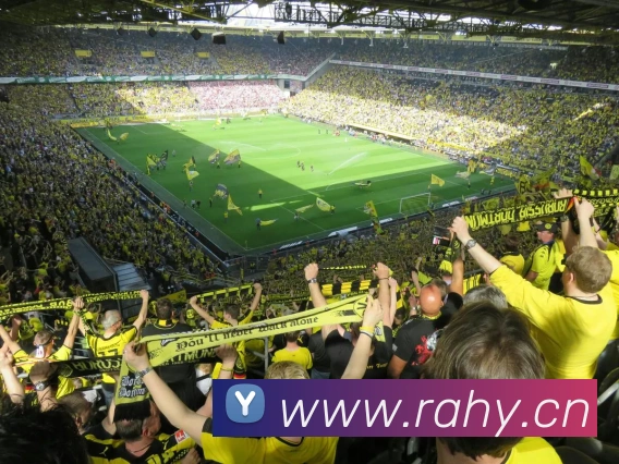 开云网页版在线登录appAPP 封面图